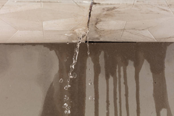 Professional Water Damage Repair technician working in Zaleski, OH